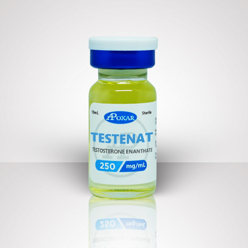庚酸睾酮 250 毫克/毫升 – Apoxar